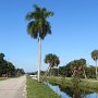 <p align=left>Promenade en vélo le long des nombreux canaux de la ville. Ça se voit qu'on est dans les Everglades.